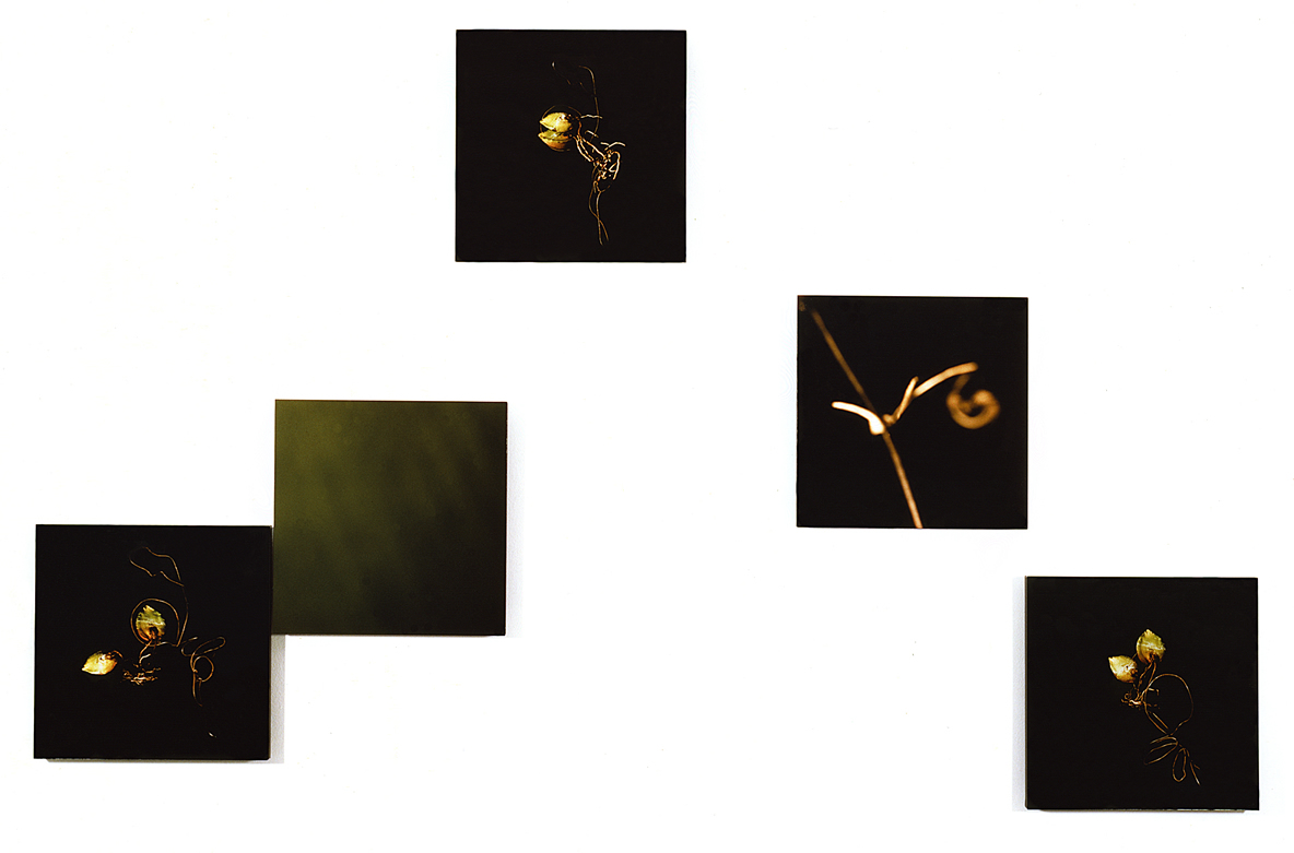 coil