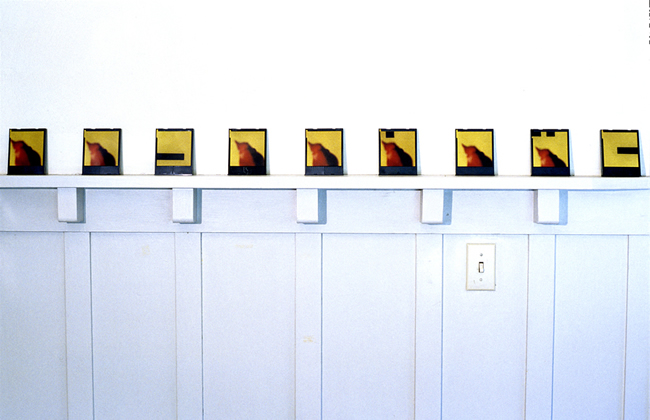 birds