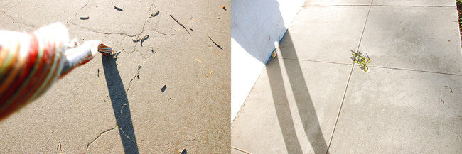 wind diptychs